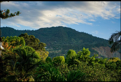 Jarabacoa